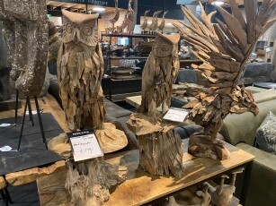 Robuste Statue 'Owl on root' aus Teakholz.
