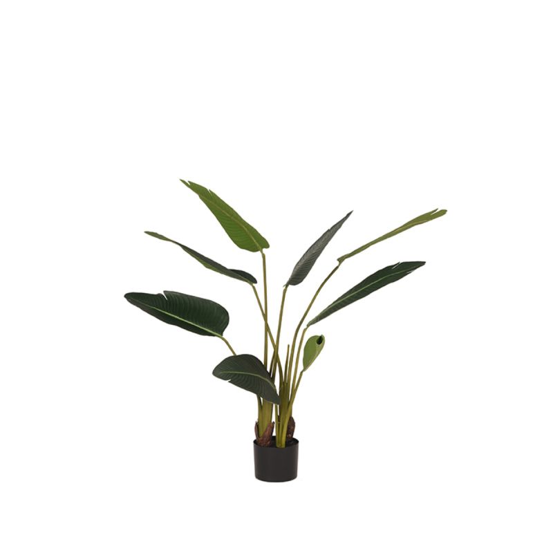 Strelitzia Pflanze Künstliche
