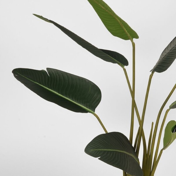  künstliche Pflanze Strelitzia 