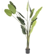 Kunstpflanze Strelitzia groß Mokana Möbel