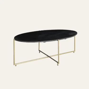 Ovale Couchtische bei Mokana Meubelen